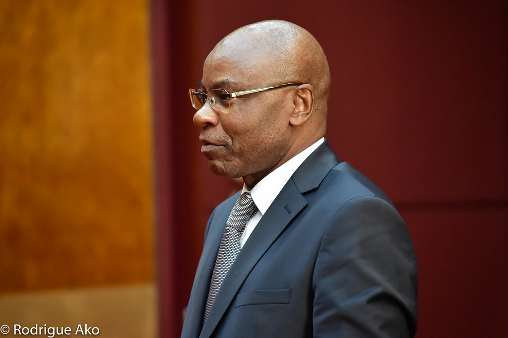 28215555293 521c65606d b